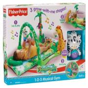 Mattel Fisher Price Yağmur Ormanı Jimnastik Merkezi L1664