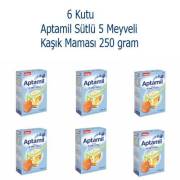 Aptamil Sütlü 5 Meyveli 250 Gram 6 Kutu