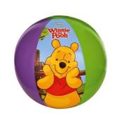 Vardem Winnie The Pooh Deniz Havuz Topu