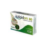 Kaleidon 60 12 Saşe