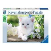 Ravensburger 1500 Parça Puz Beyaz Kedi