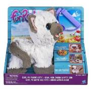 Hasbro FurReal Afacan Kedicik C1156