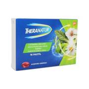 Theranatur 16 Pastil - Ahududu Aromalı