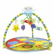 Prego Toys PY605 Işıklı Bahçe Oyun Halısı