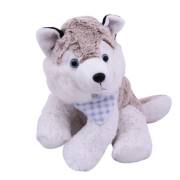 Vardem Peluş 2 Asorti Husky PTDC6083M2/H2