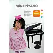 Vardem Kutulu 37 Tuşlu Mini Piano (Mikrofon ve Tabureli) N900/JXT88022